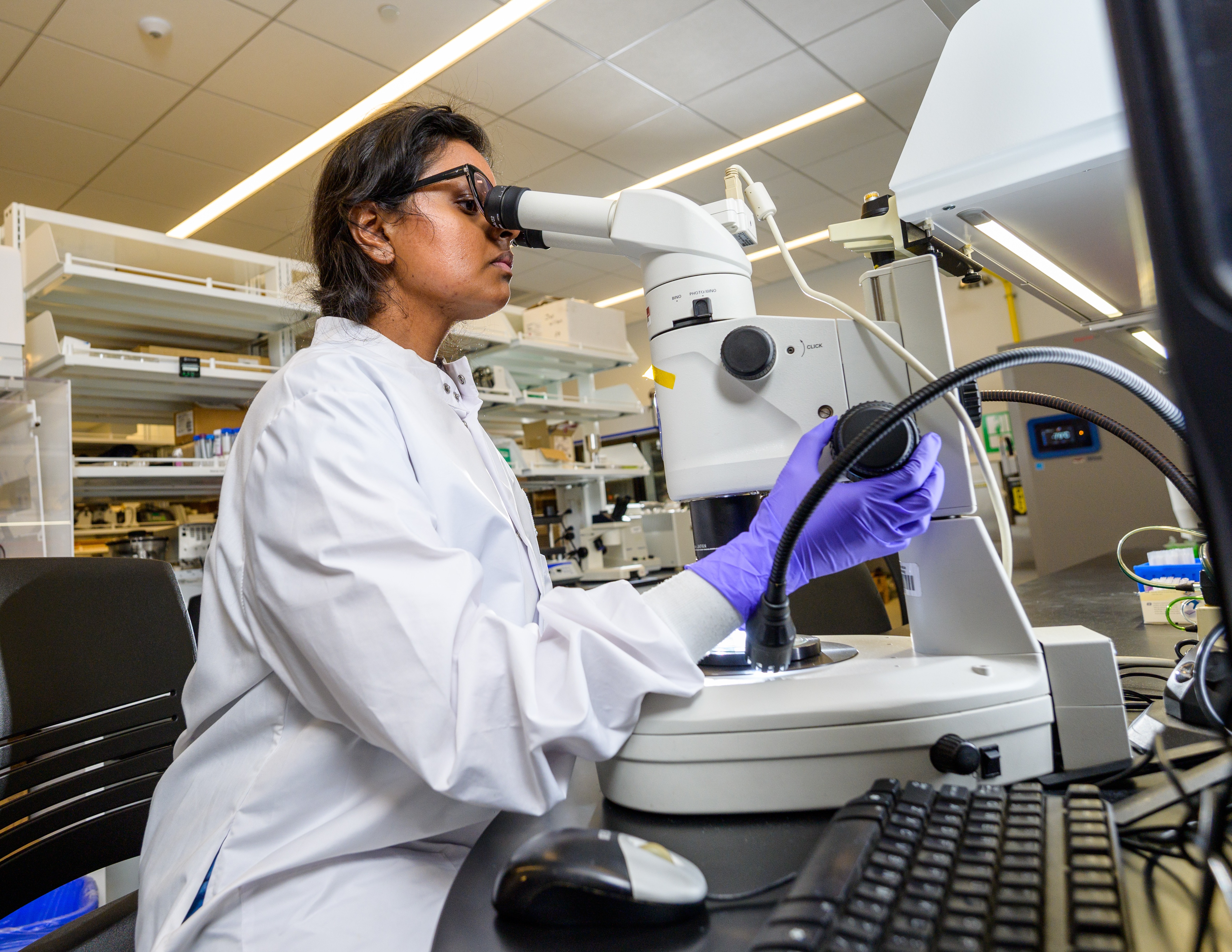 Unrecognizable scientist using microscope in a lab.