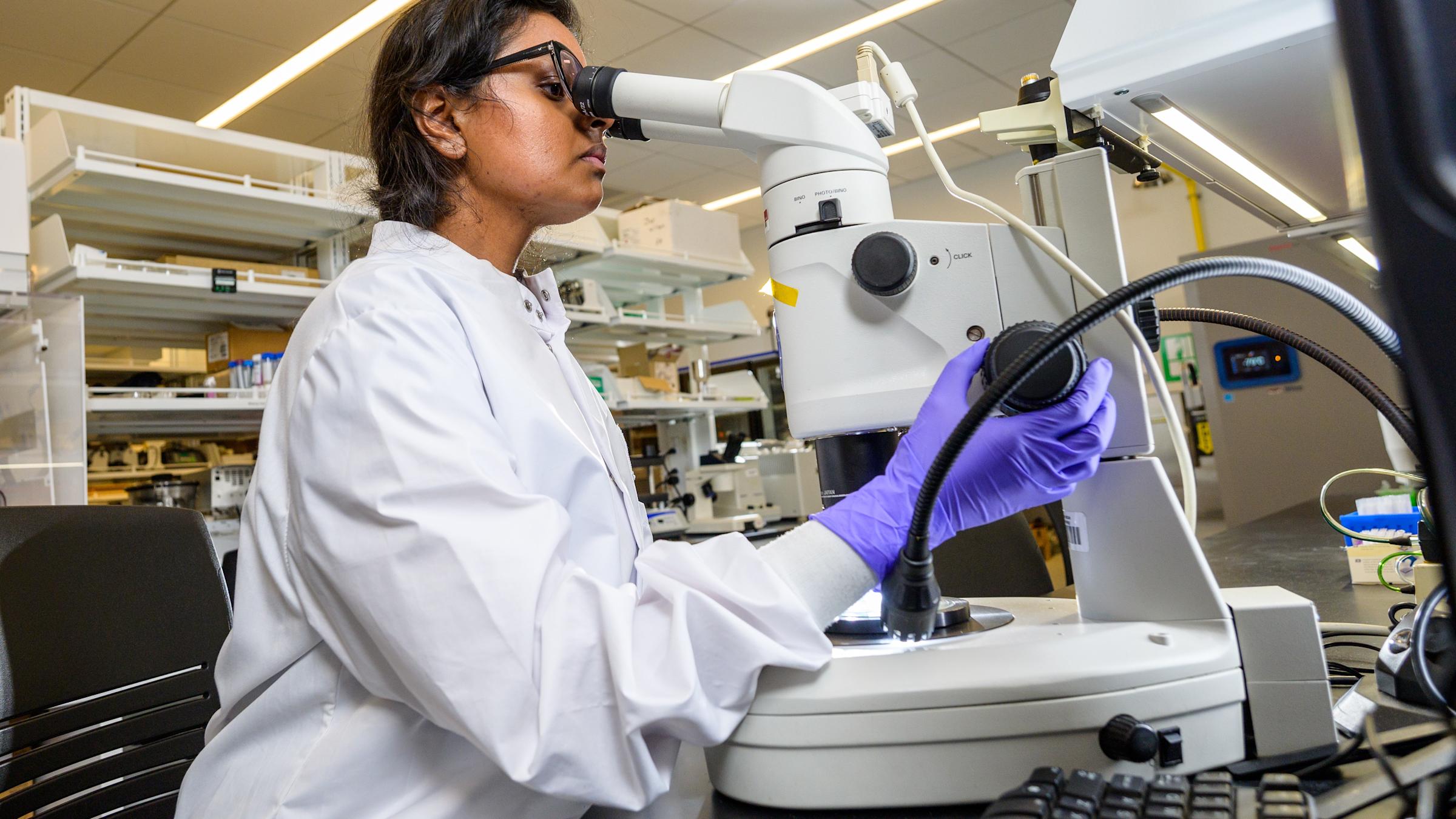 Unrecognizable scientist using microscope in a lab.