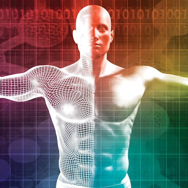 A graphic rendering of a human body