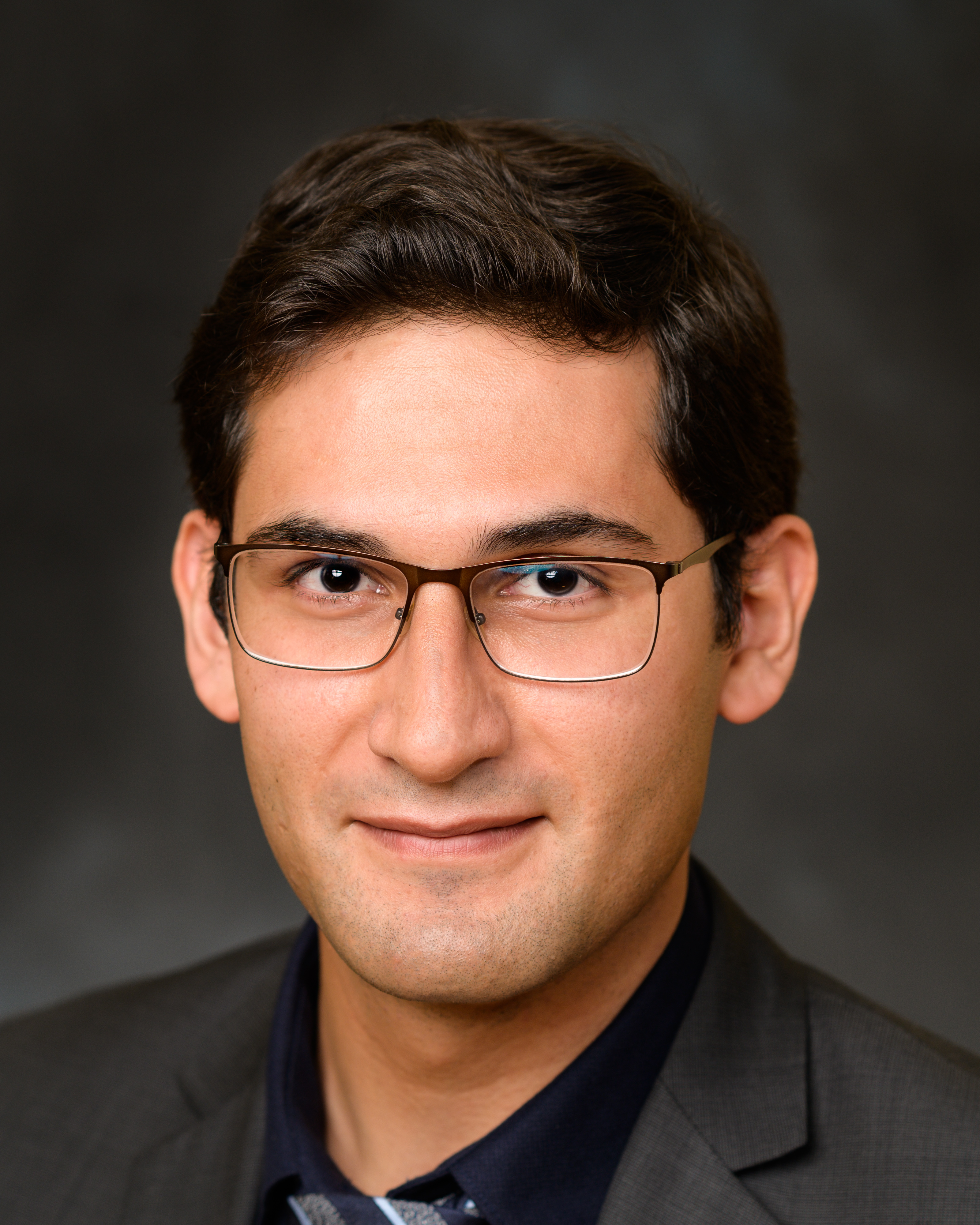 Image of Hamid Jafarnejad Sani