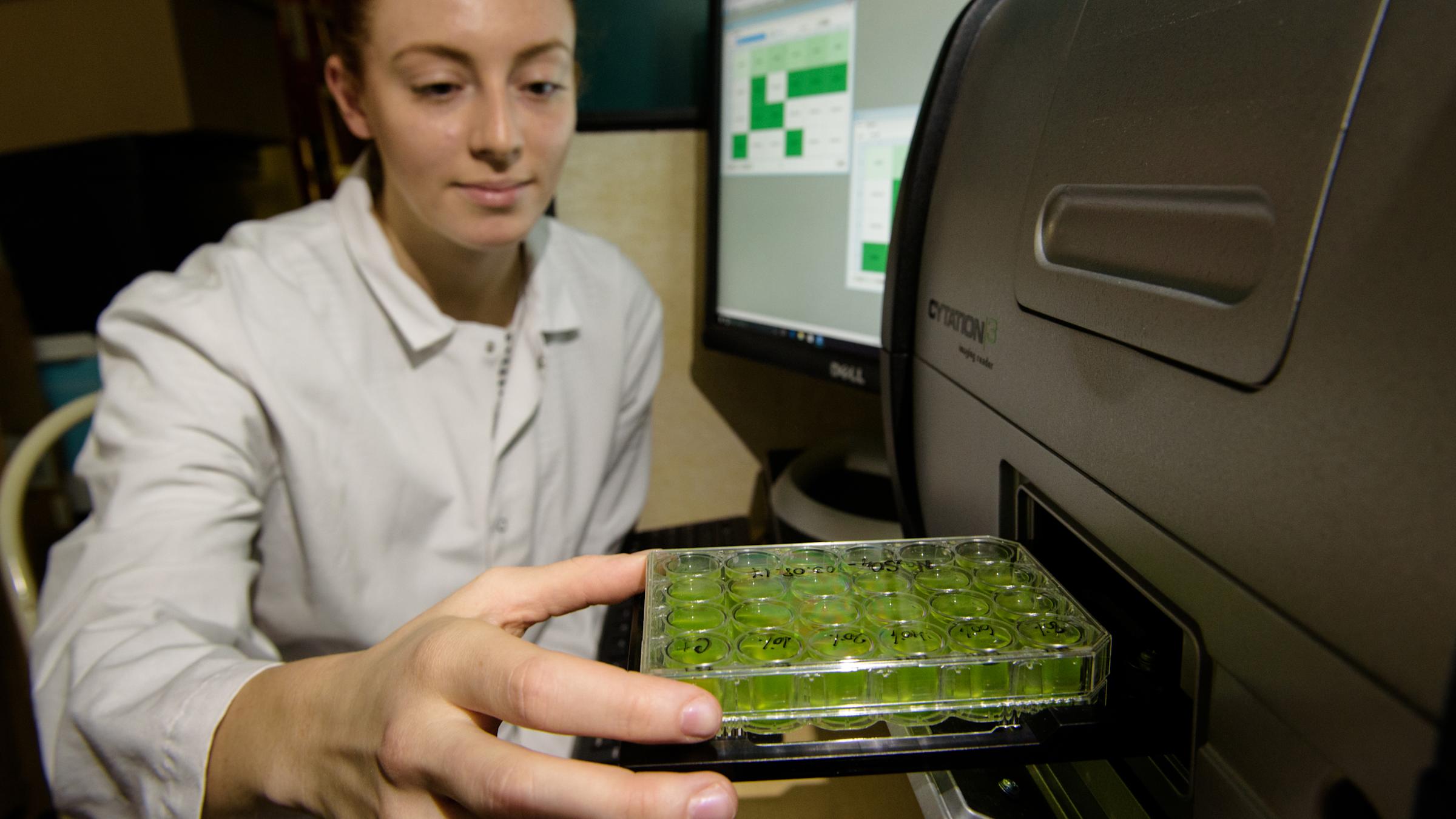 Student working in lab