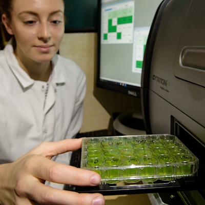 Student working in lab