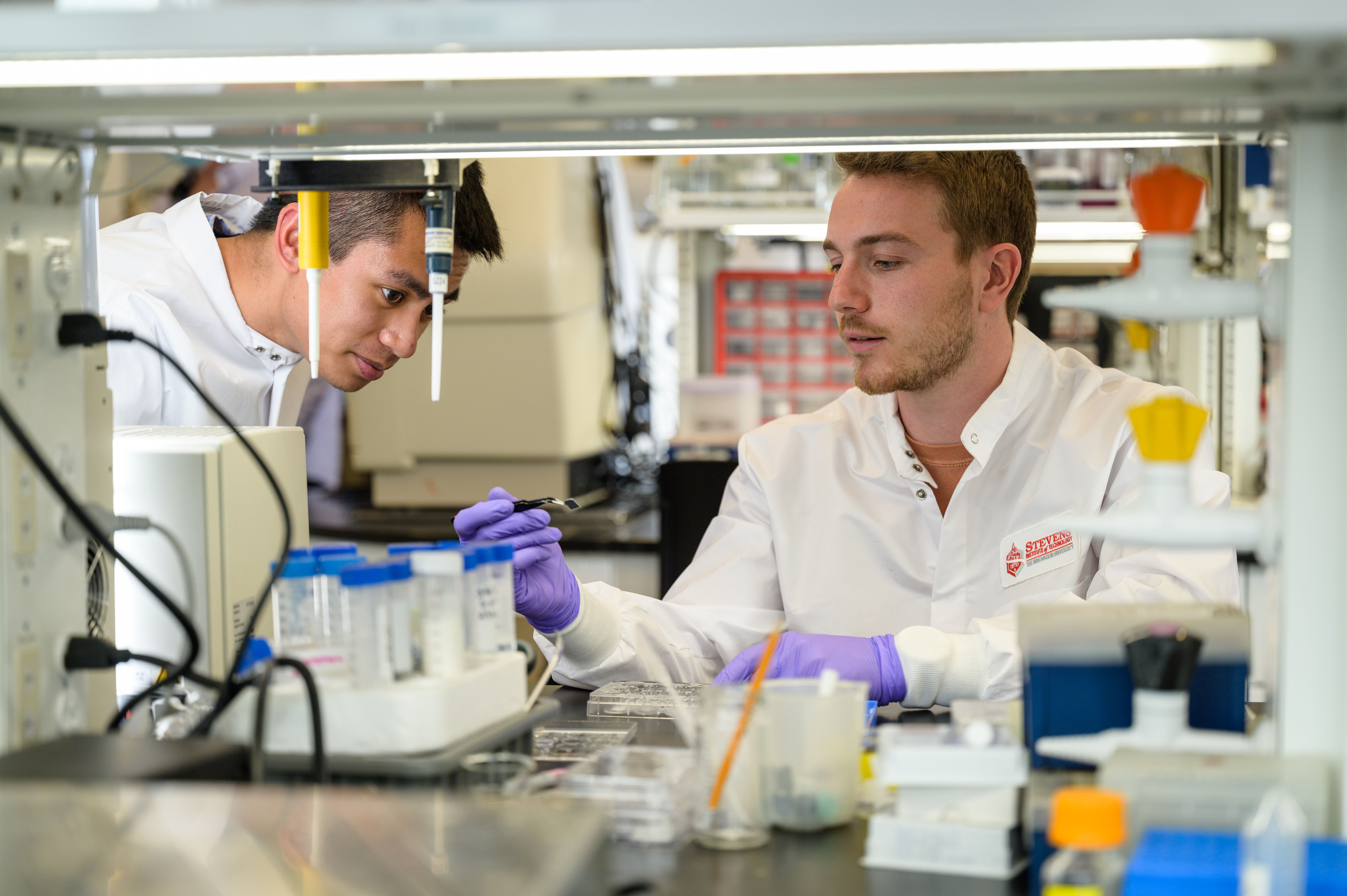 Students work in Stevens lab