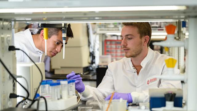 Students work in Stevens lab