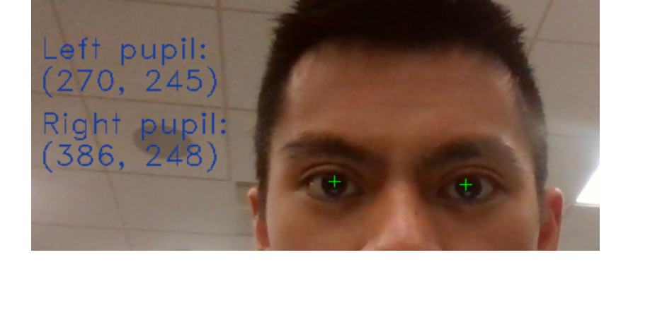 Screen shot of a face in a concussion detector designed by Stevens students