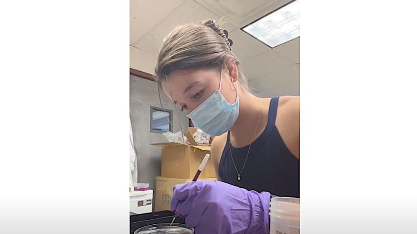 Photo of Summer Scholar, Nina Burden working in a Lab