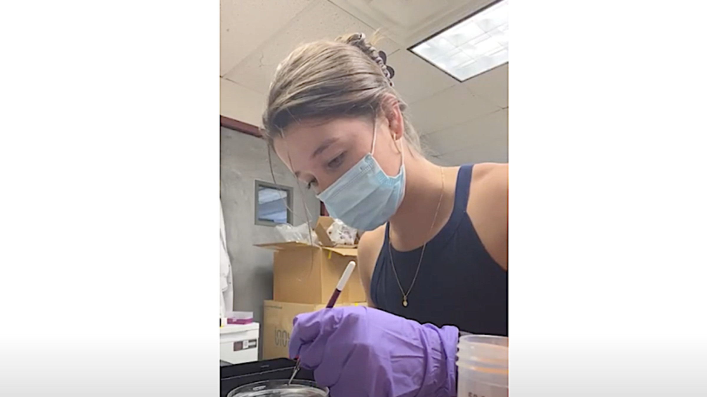 Photo of Summer Scholar, Nina Burden working in a Lab