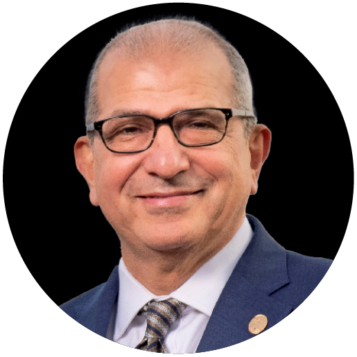 Picture of Nariman Favardin