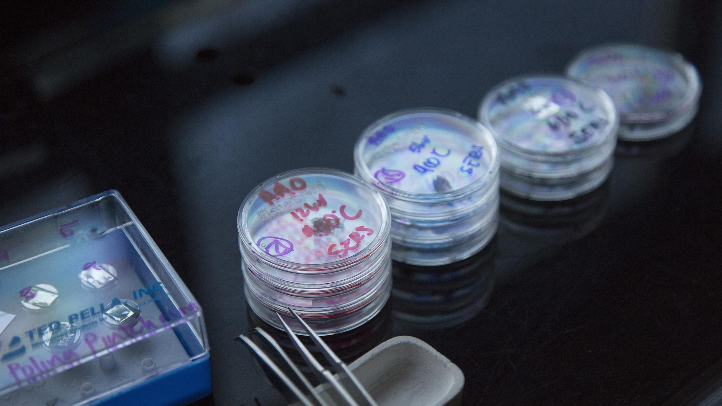 Small drugs containers related to Bioengineering the Future