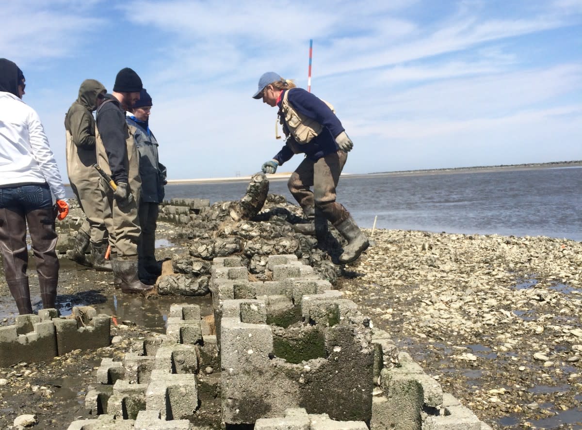 Oyster castles