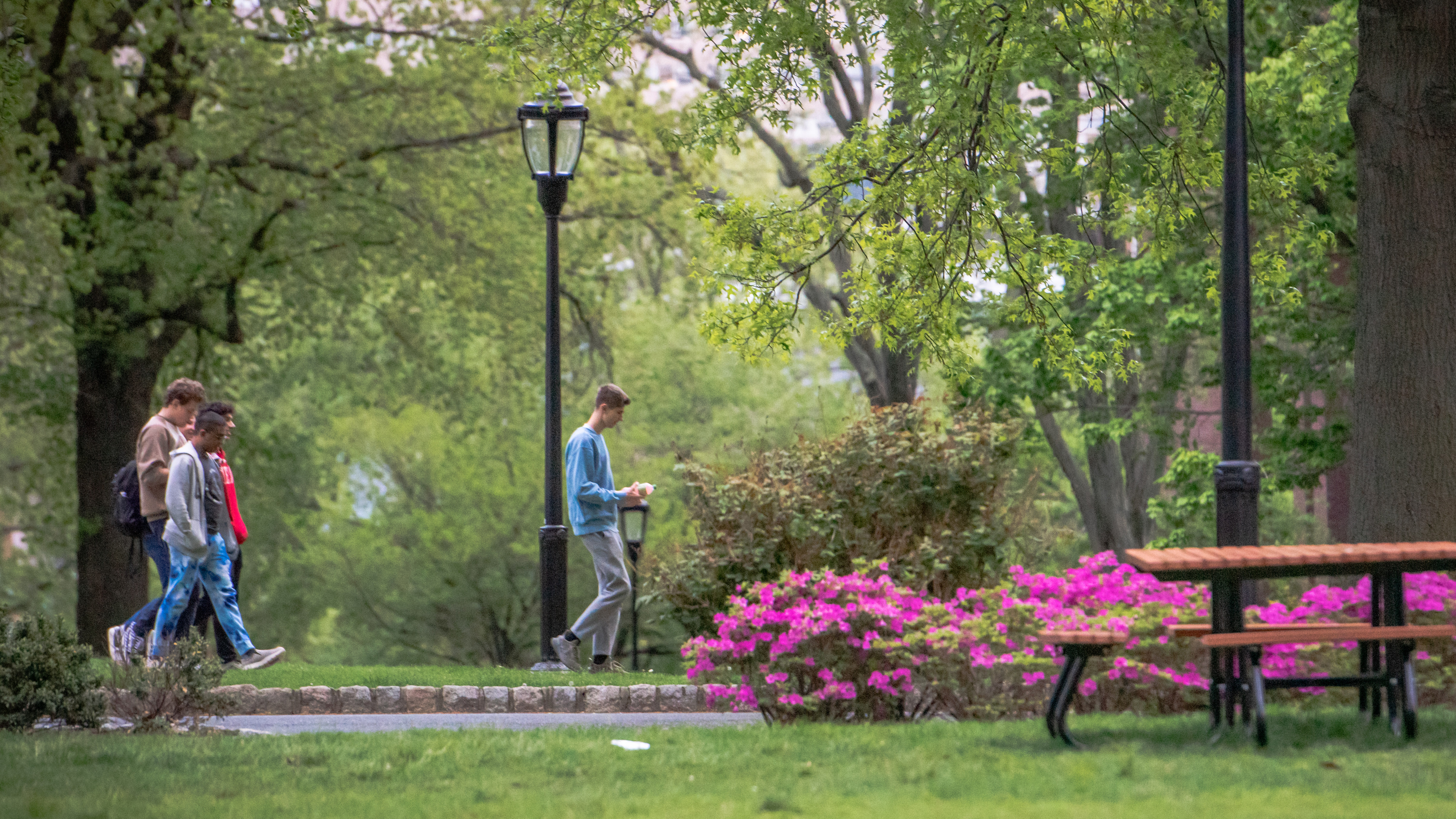 Students walking on campus in the spring.