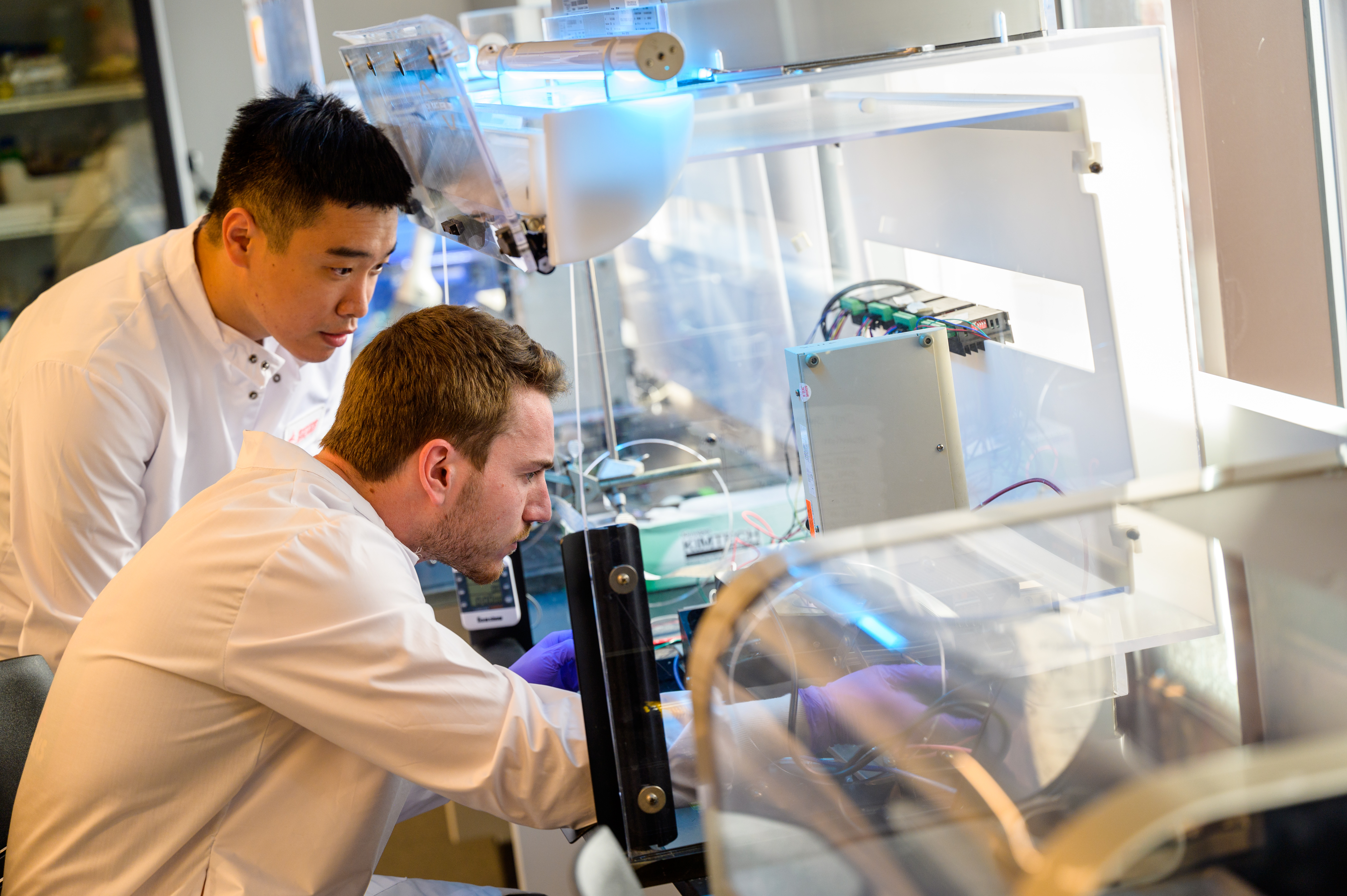 Two students conduct research