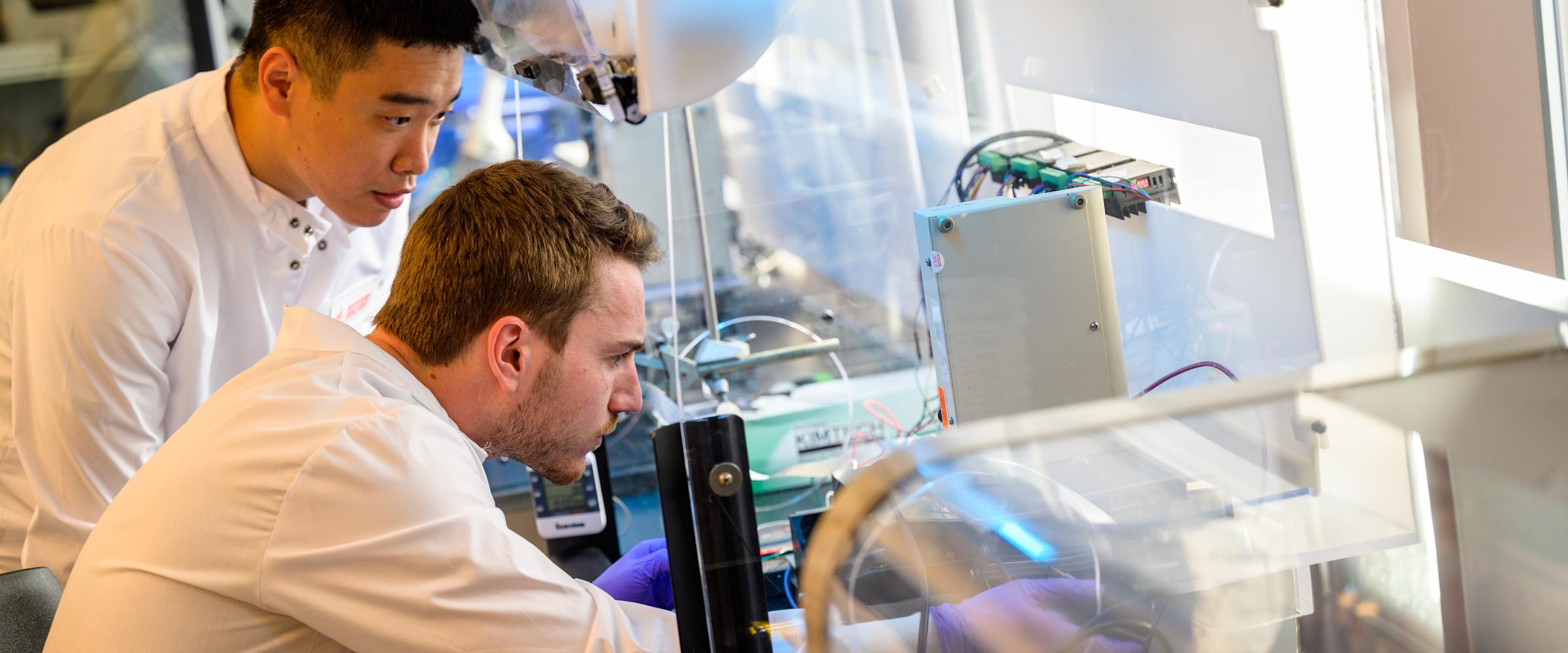 Two students conduct research