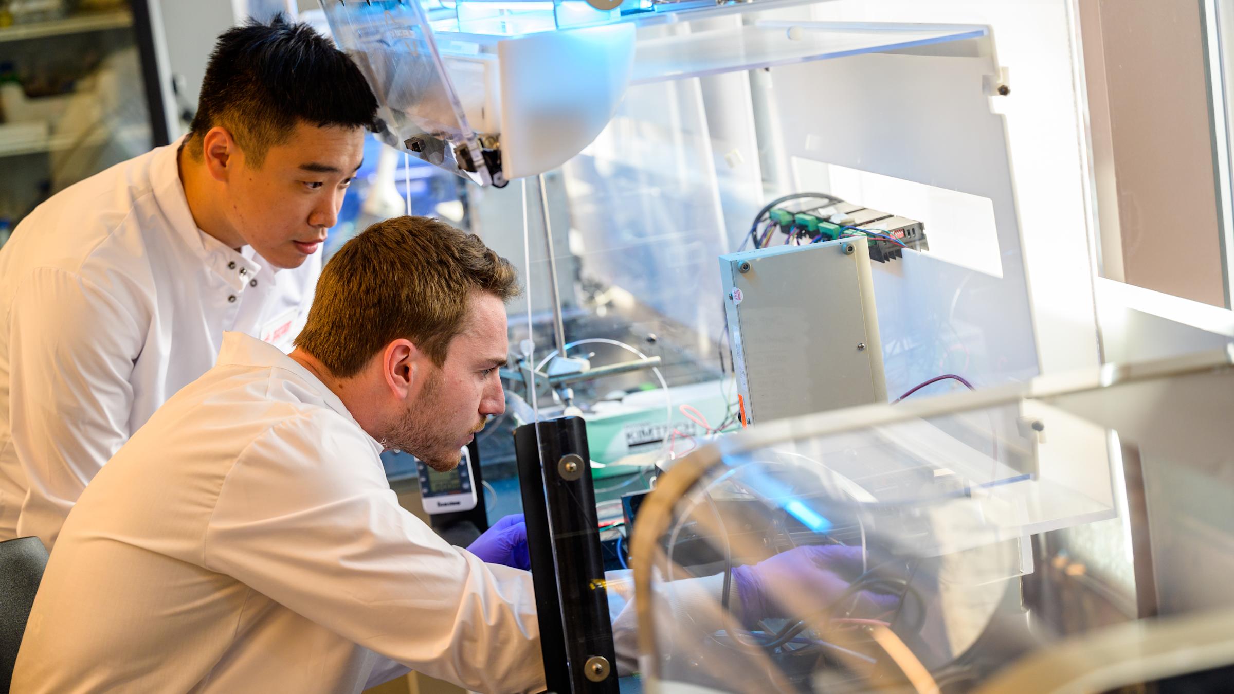 Two students conduct research