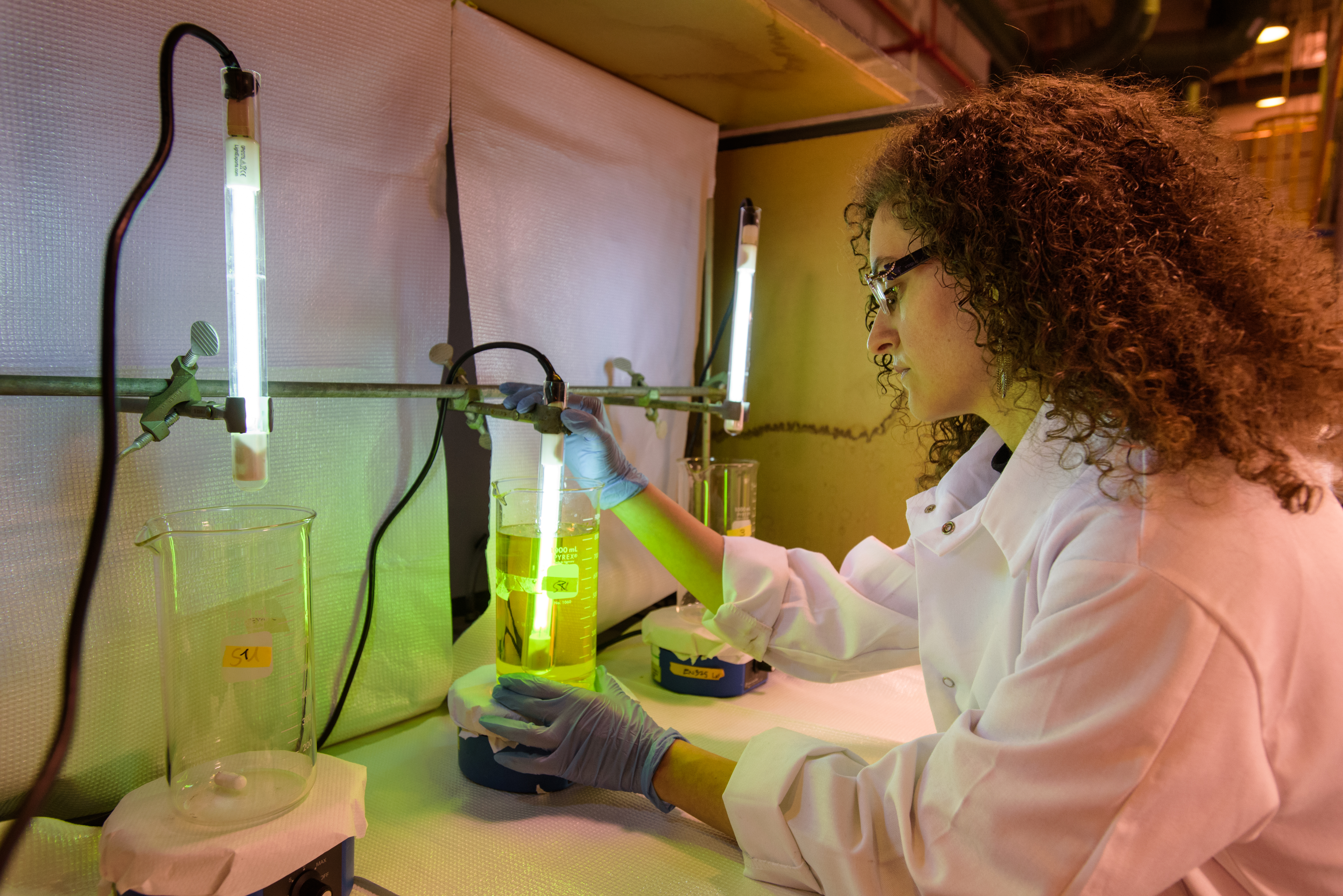 A student in a lab coat and gloves works with light and fluids in glass beakers within a environmental engineering lab.