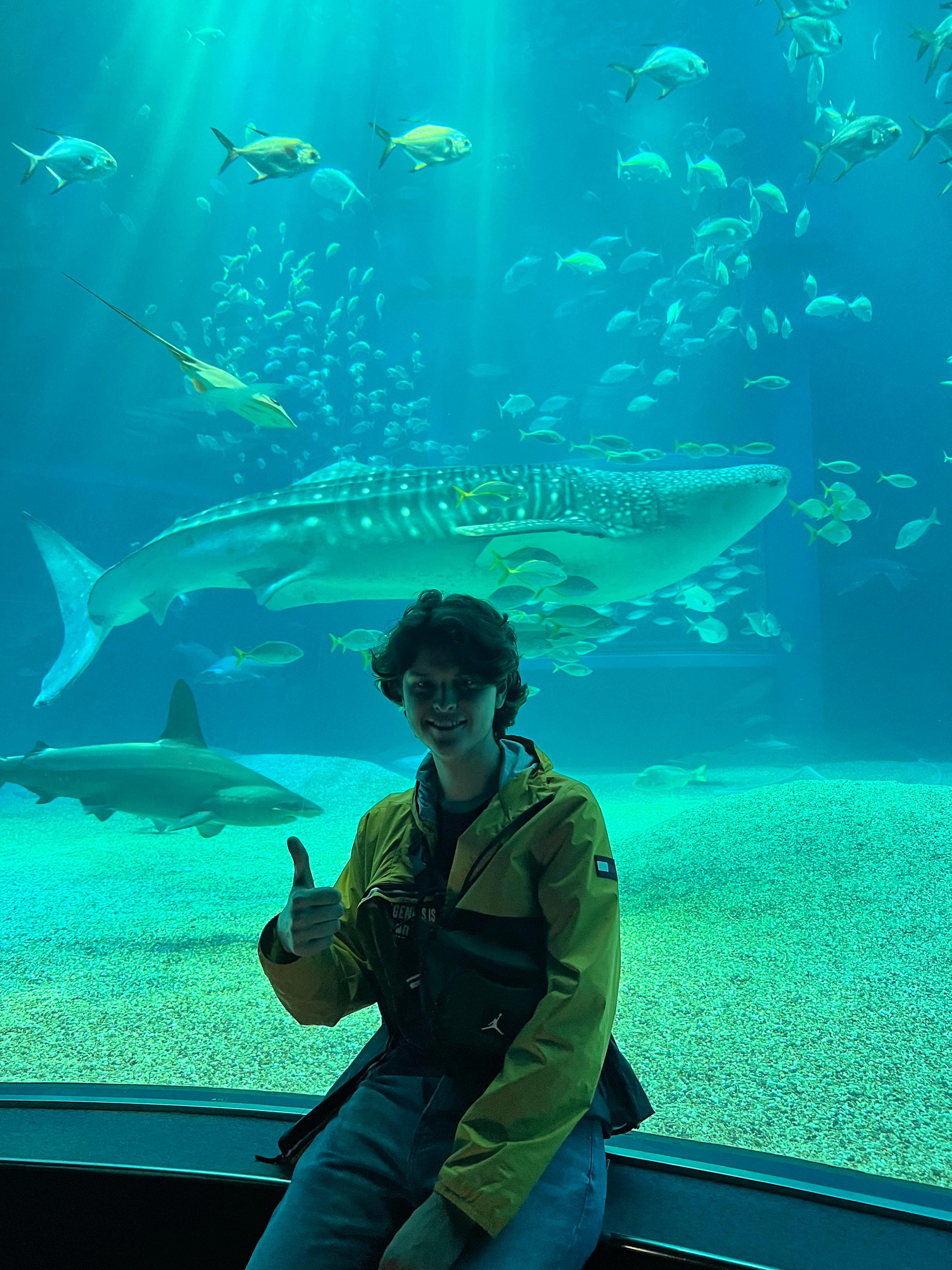 Adam Leszczynski gives a thumbs up in front of an aquarium with a whale shark and dozens of other fish behind him.
