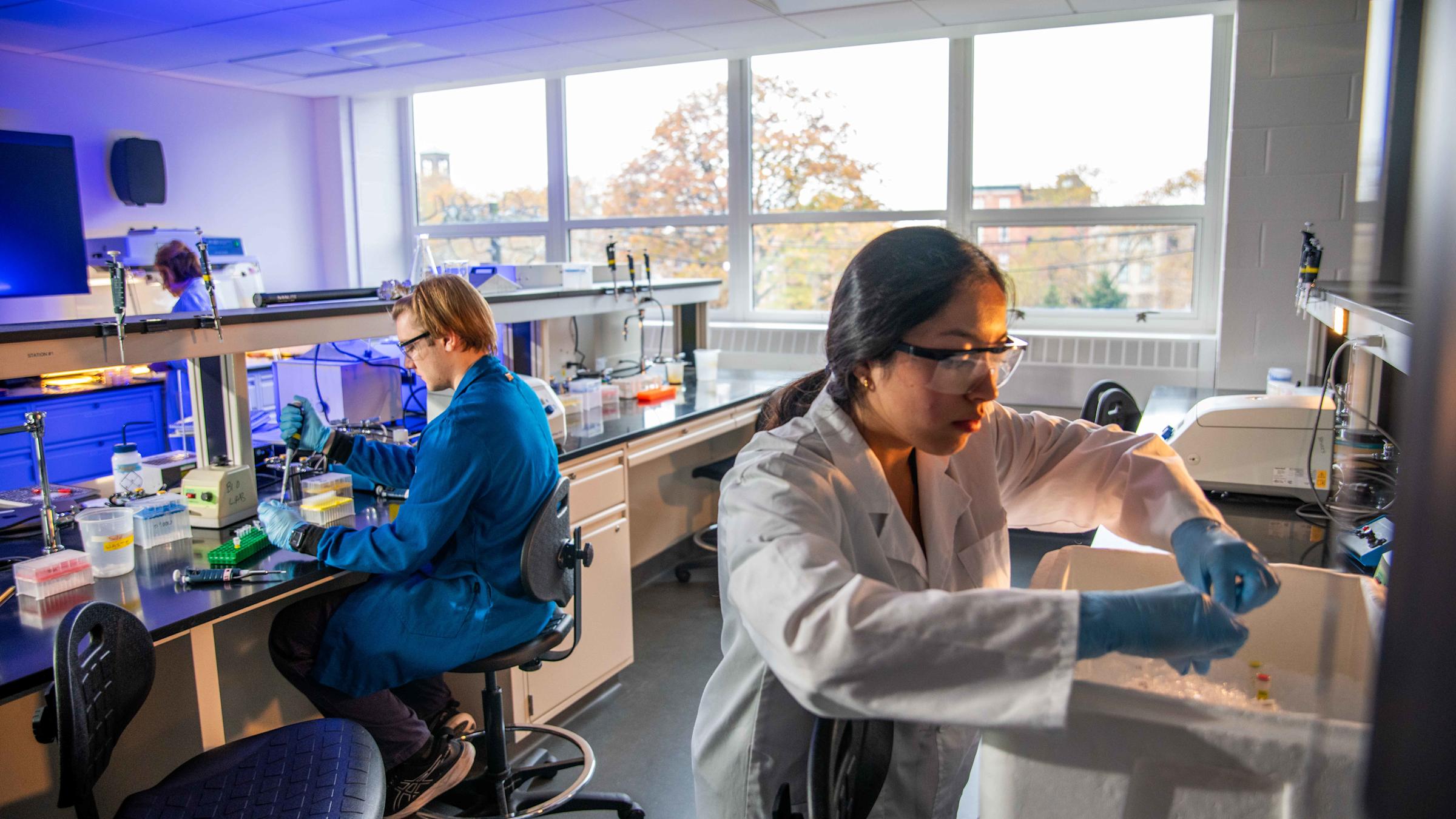 A photo of two students working with equipment in the newly renovated chemical biology teaching laboratory.
