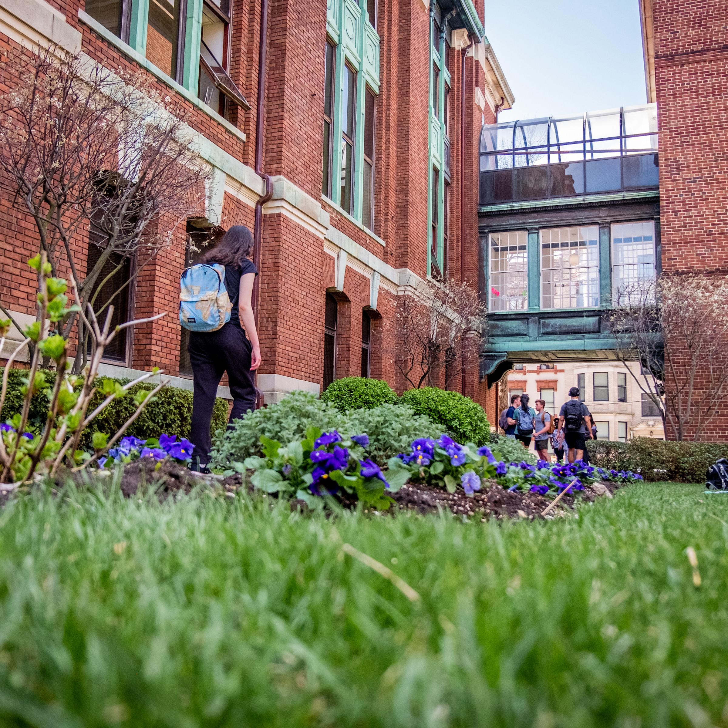 Profile of students looking to front of class.