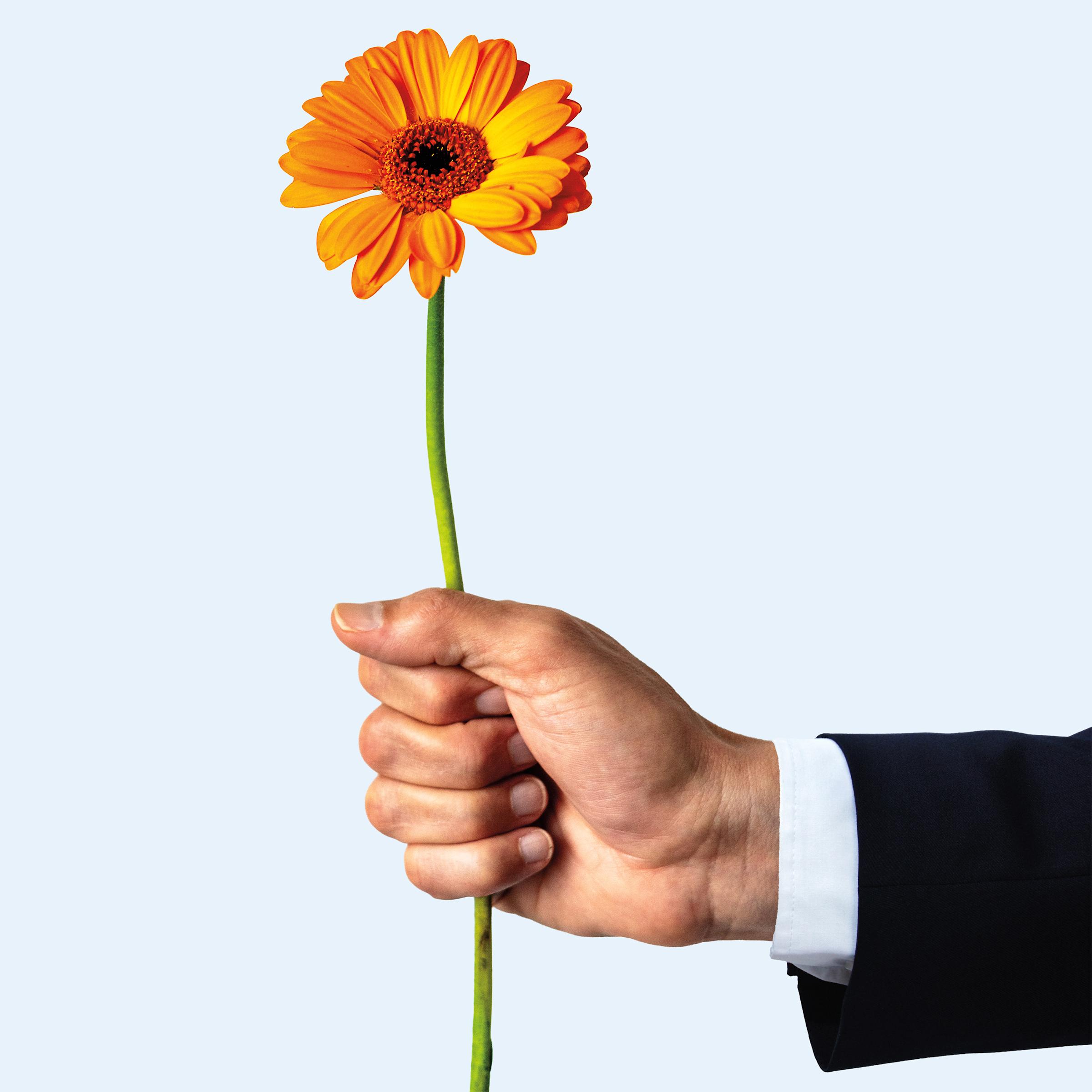 Photo of a hand holding a daisy; the person’s lower arm, showing a black suit and white dress shirt, is visible.