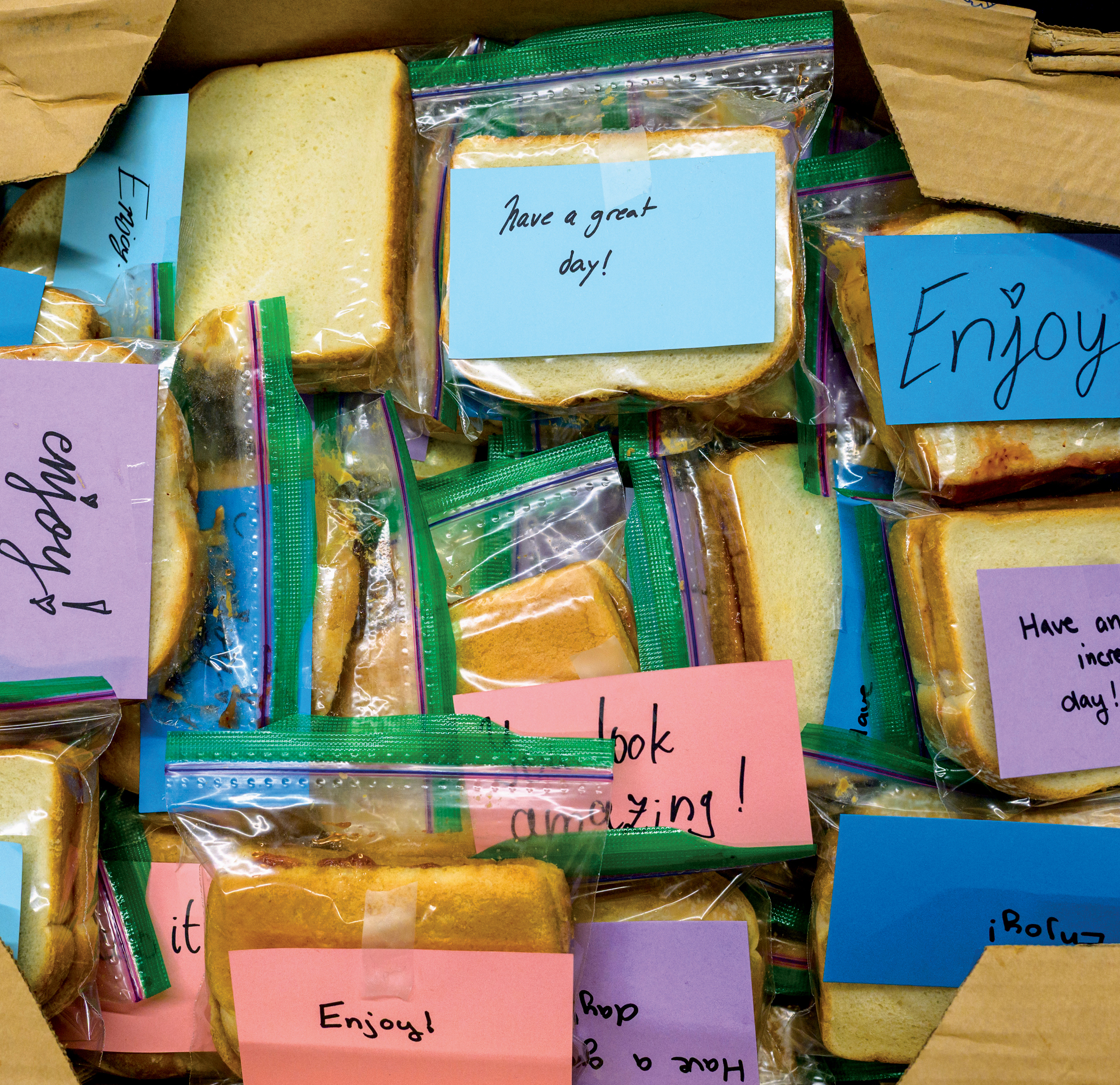 Box of sandwiches in clear, individual plastic bags, with short messages on each written on blue, purple and pink Post-It notes.