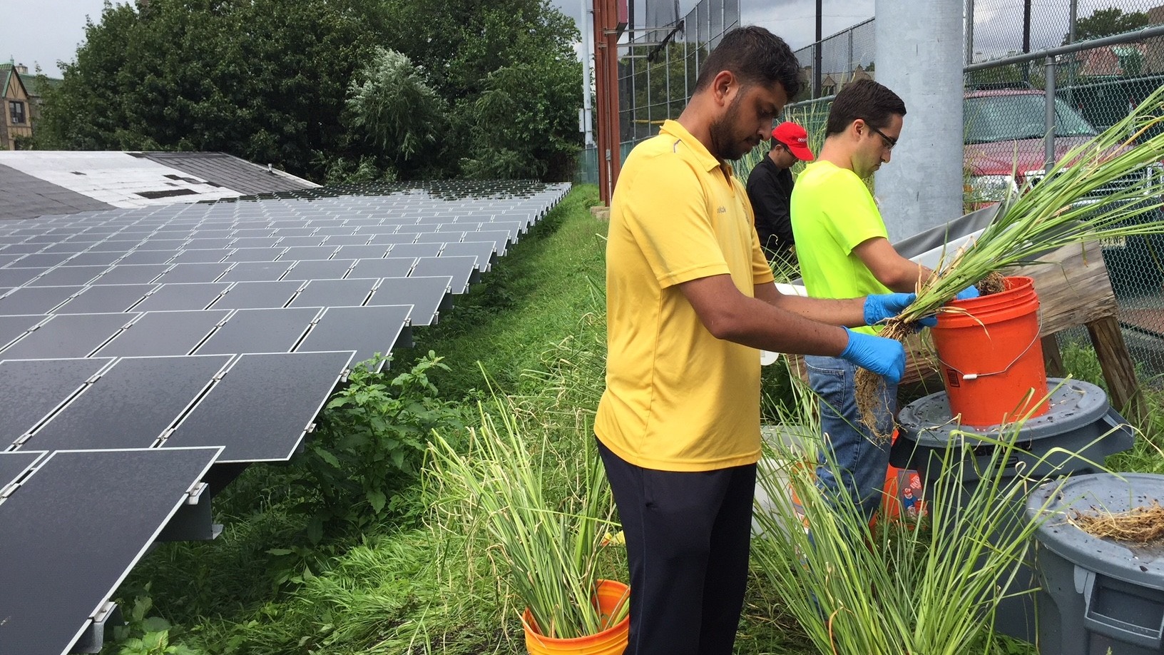 Students planting plants to mitigate water runoff for sustainability management.
