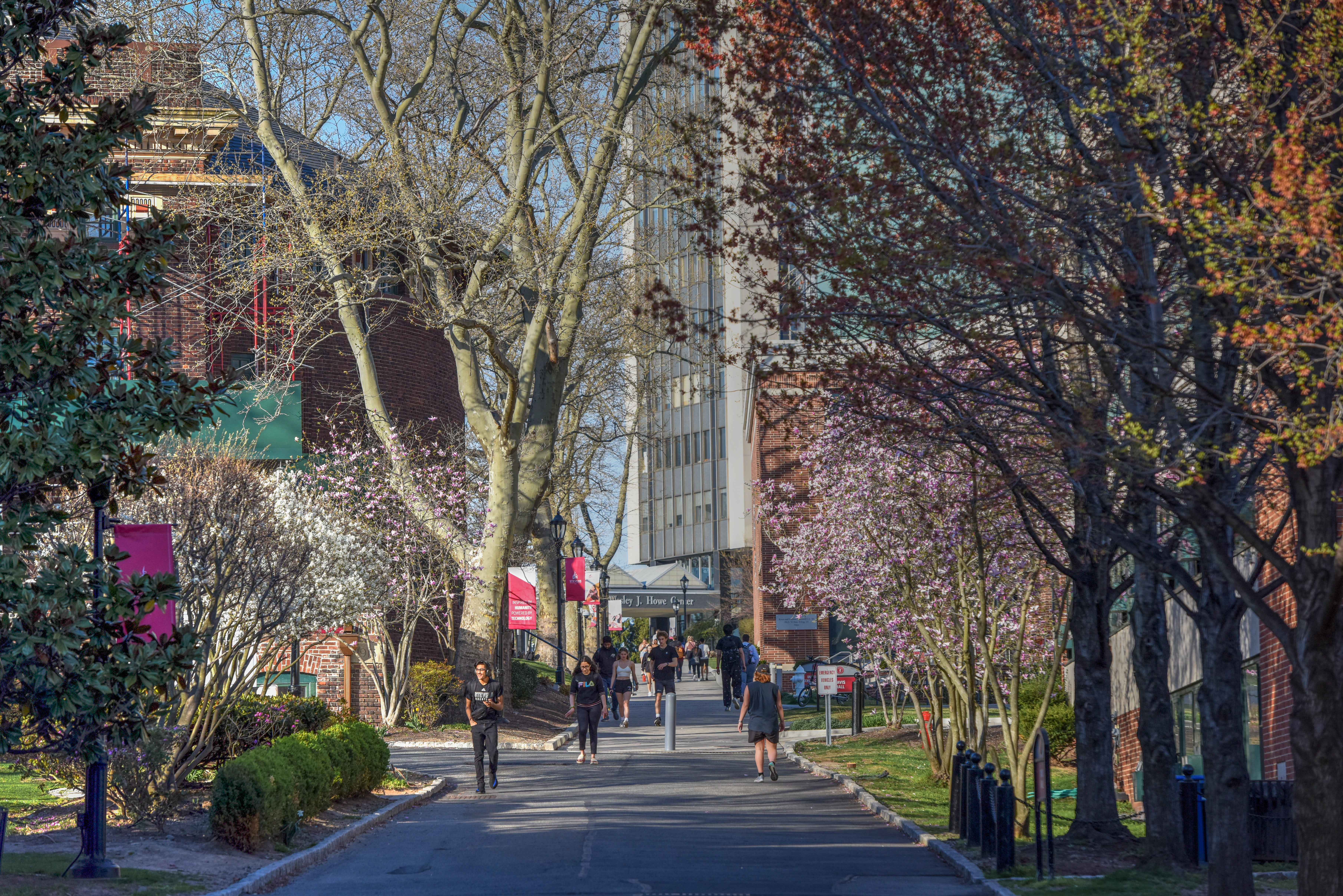 Campus in the spring, looking up Wittpenn walk