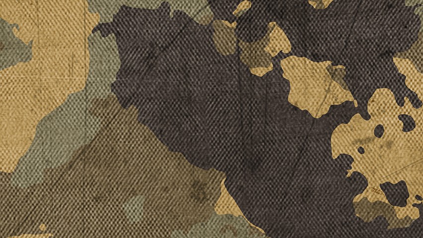 Picture of camouflage.