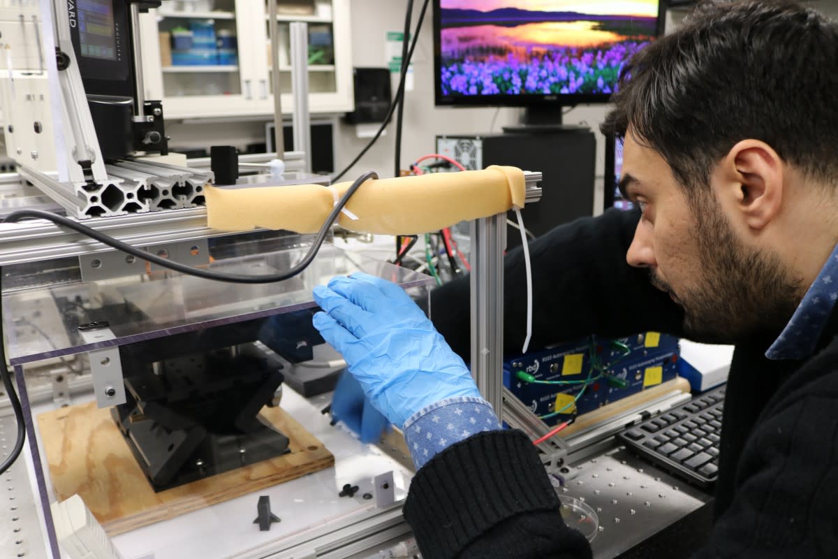 Tourmoulosis working in the Biomodeling and Biomeasurements Lab