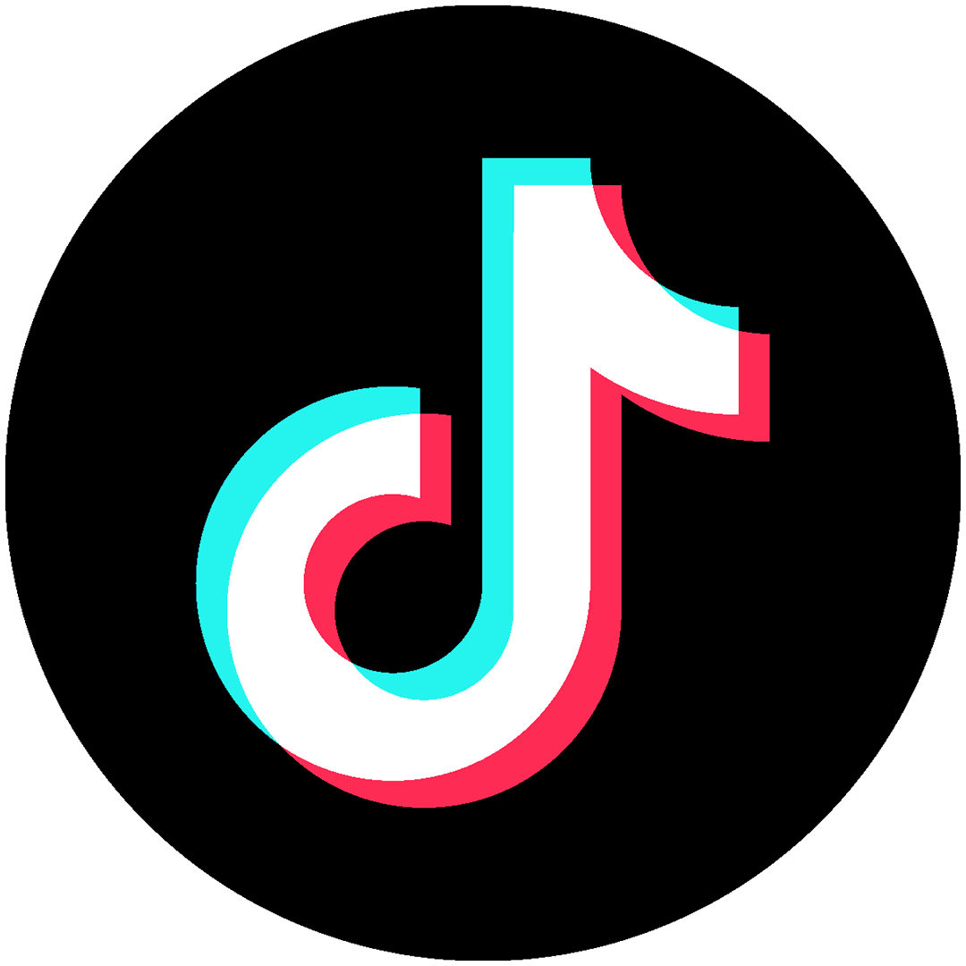TikTok Logo