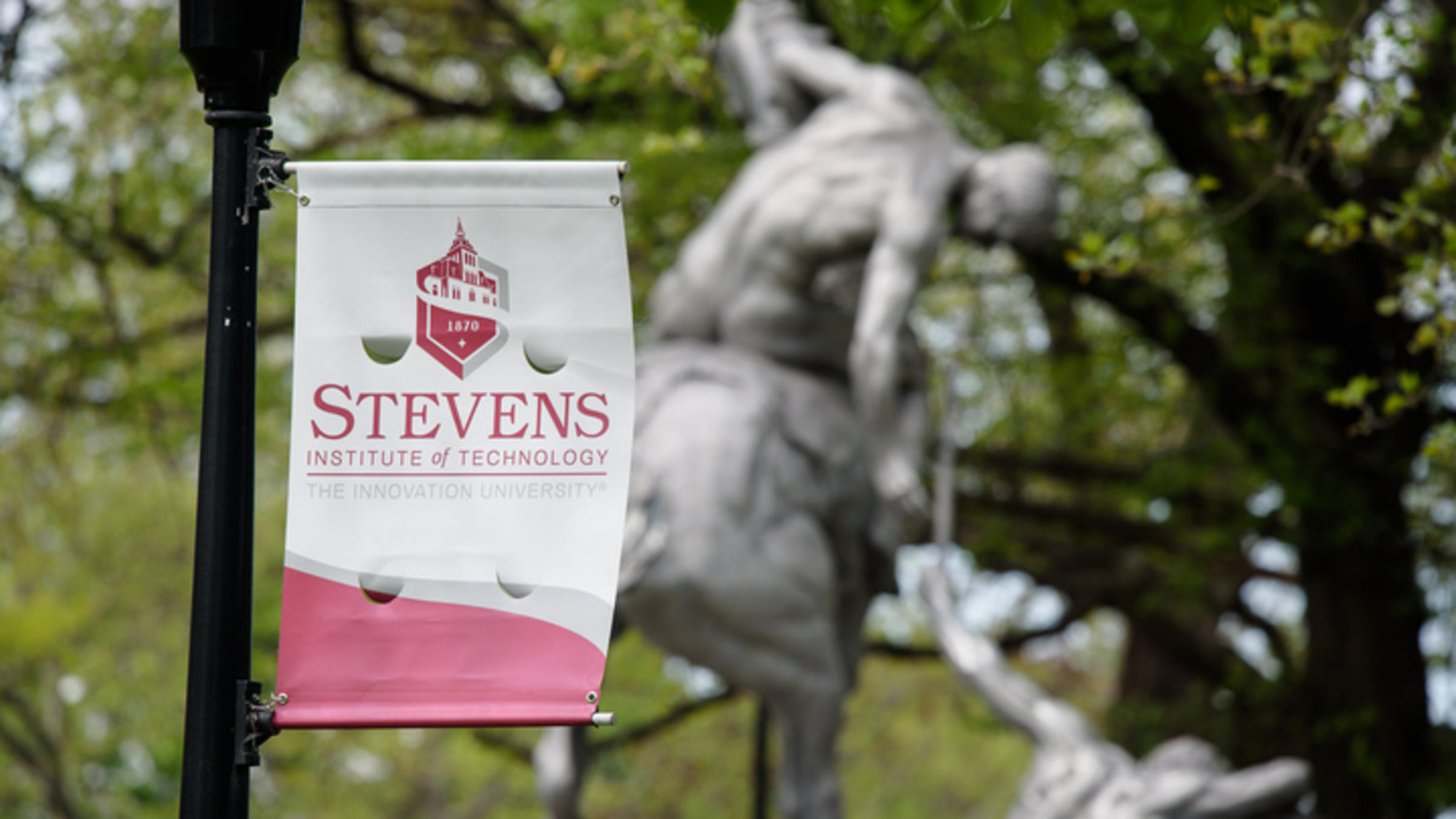 Stevens flag