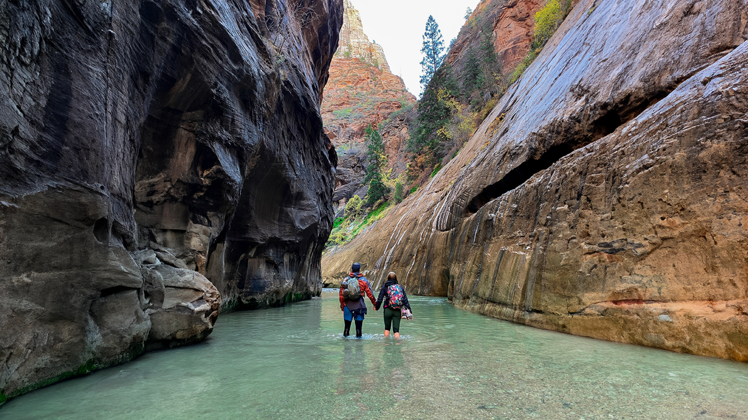 Two hikers wade hand-in-hand through shallow green water between towering smooth sandstone canyon walls, with red rock formations and trees visible ahead. The dramatic slot canyon is likely The Narrows in Zion National Park, Utah.
