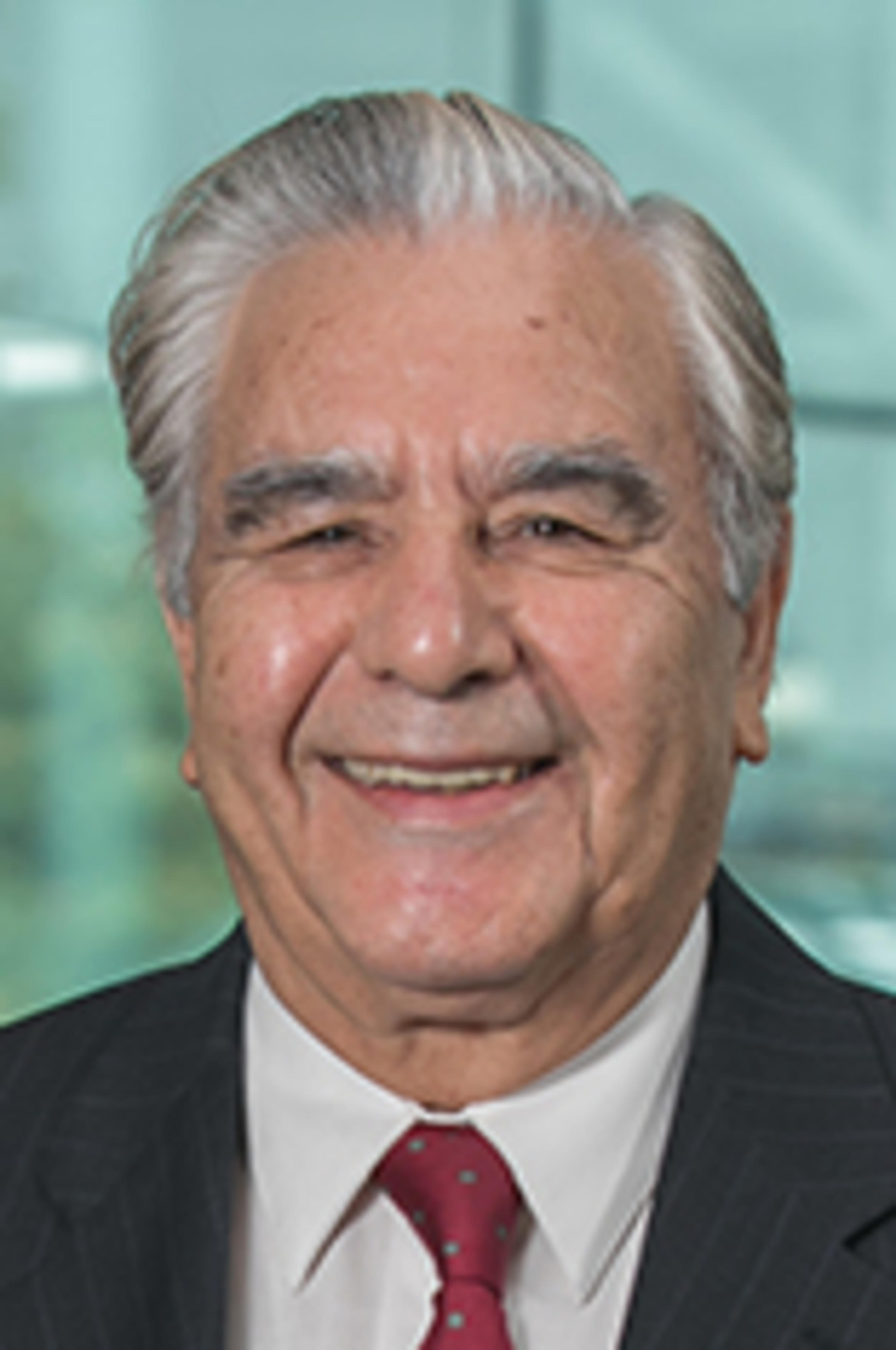 Headshot of Dr. Daneshmand, wearing a dark suit and red tie against the Manhattan skyline.