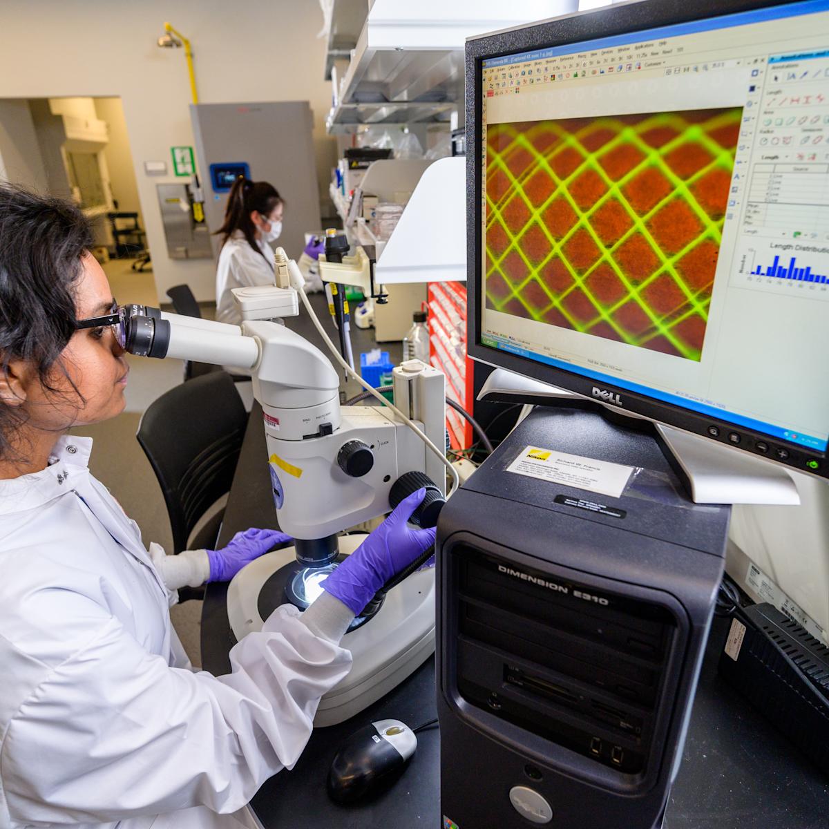 Student researches in a lab using a microscope and computer equipment