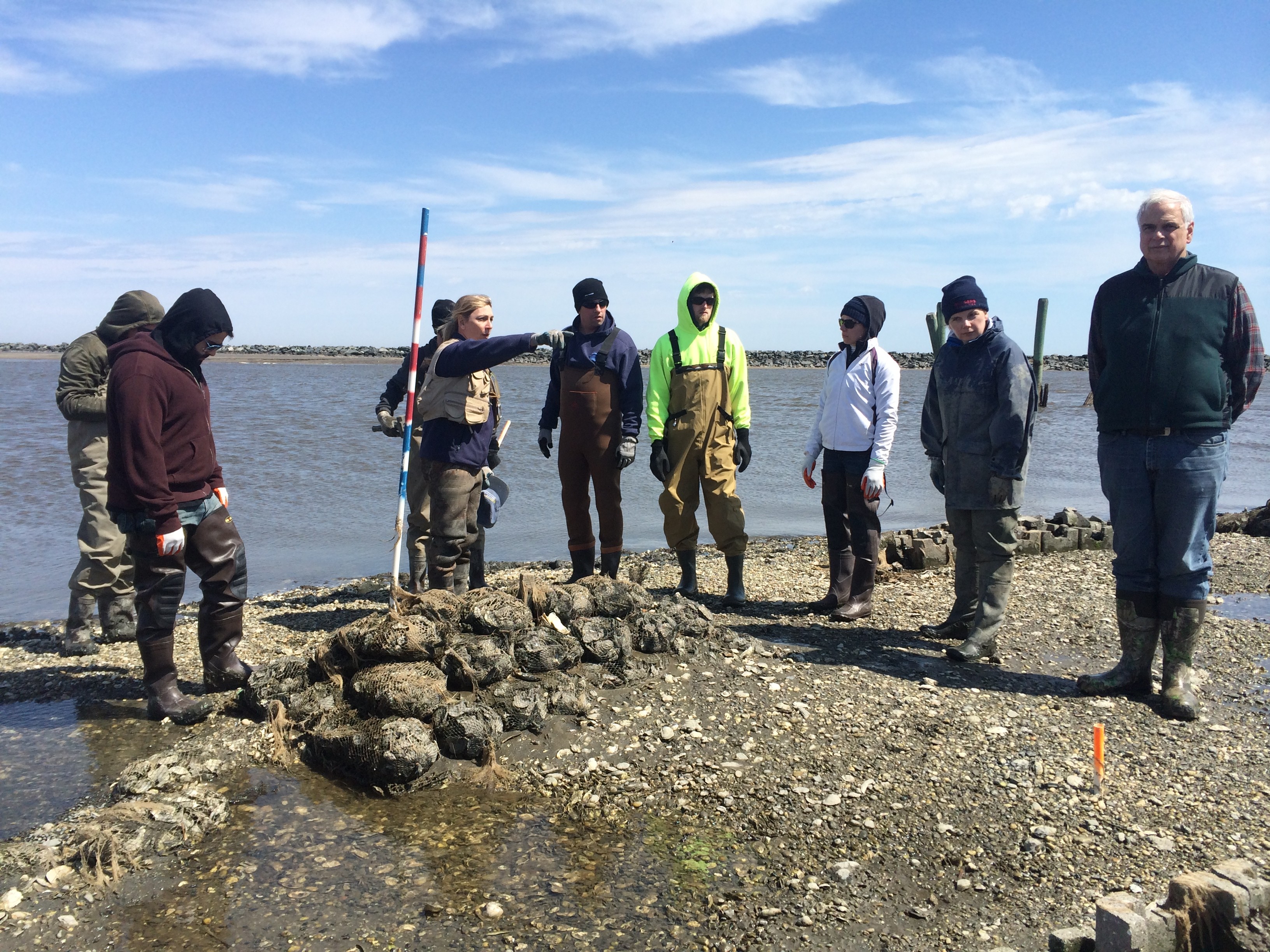 Students build oyster castles