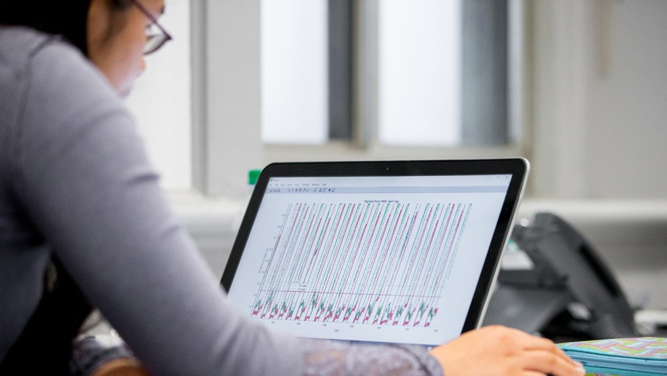 Photo of student studying an online program.