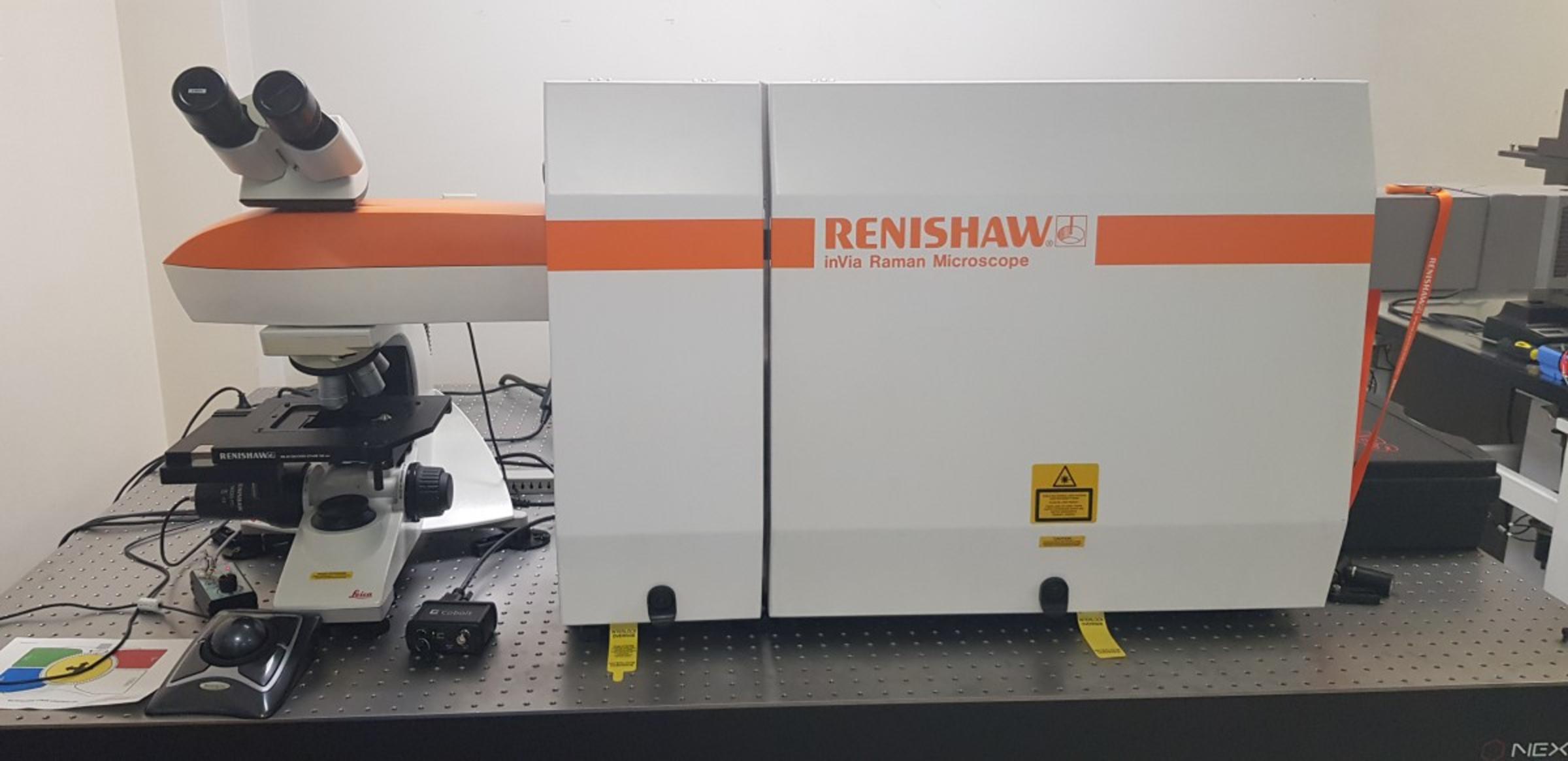 Raman Spectroscopy System