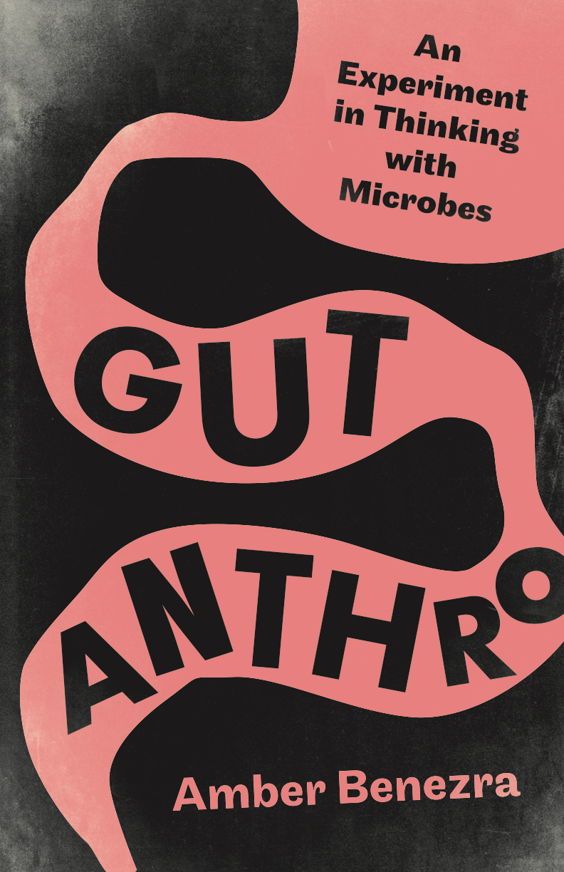 cover of Amber Benezra book