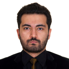 Pouya Darestani Farahani.