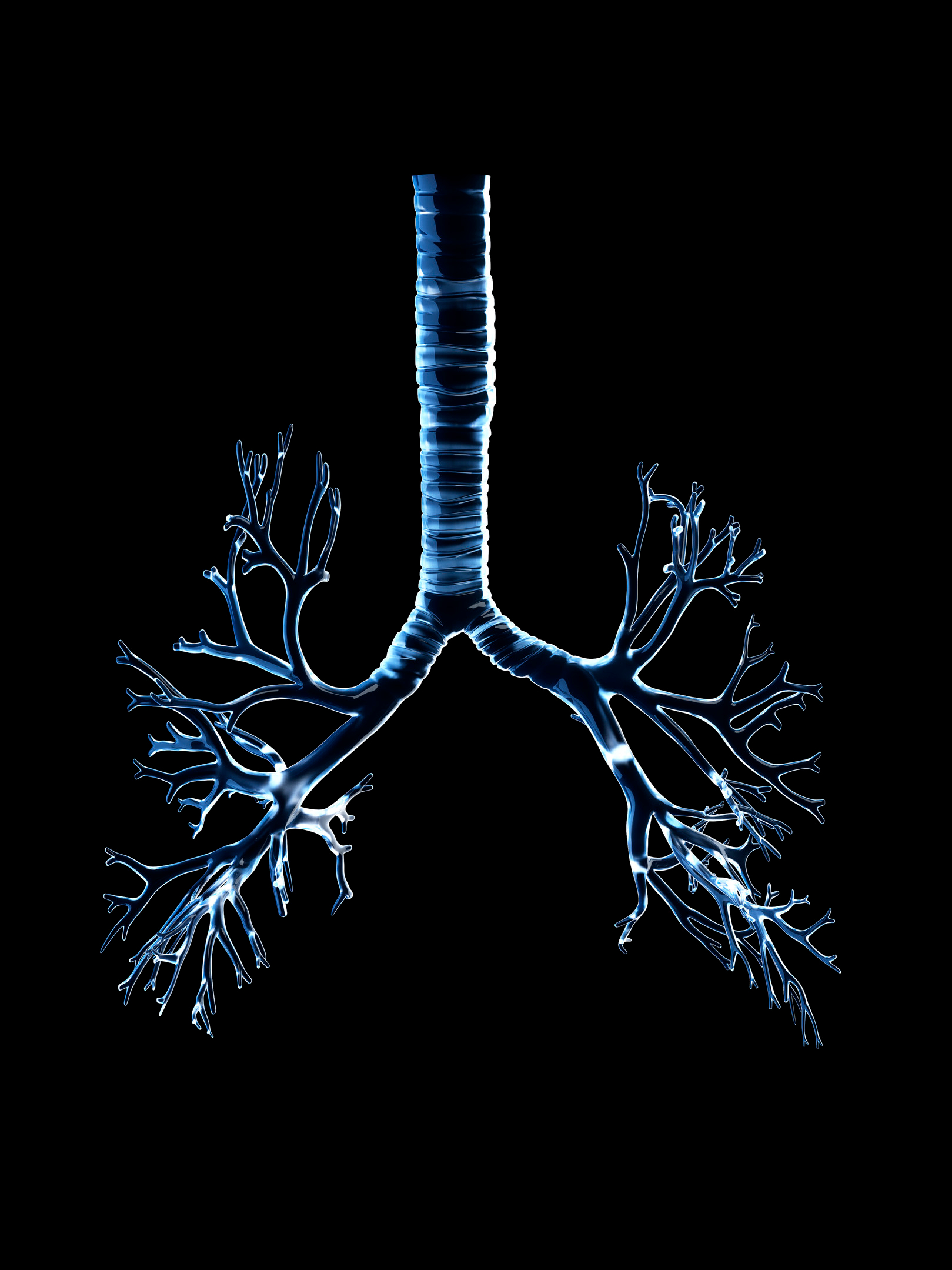 An illustration of a trachea with a black background