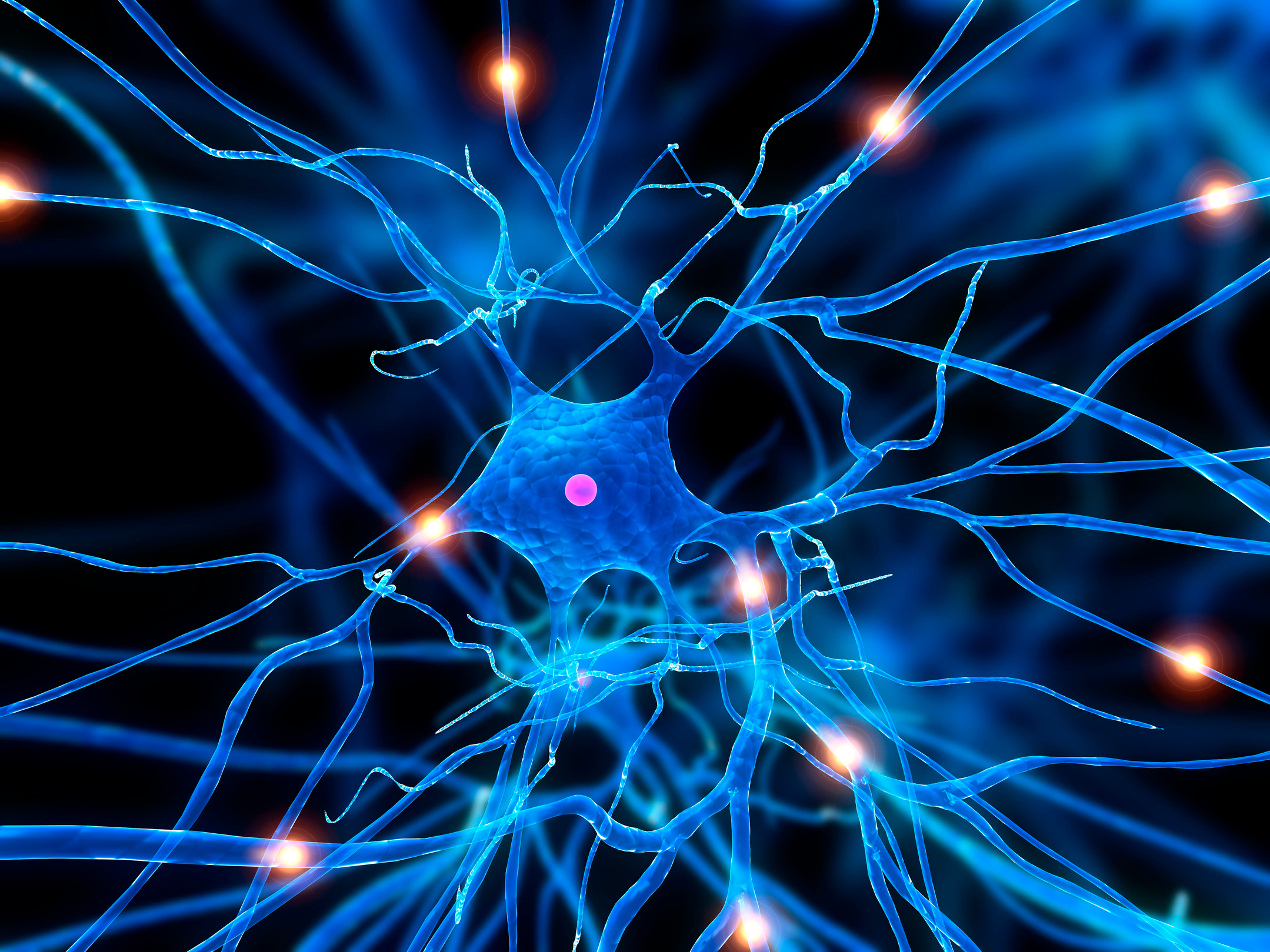 Illustration of nerves