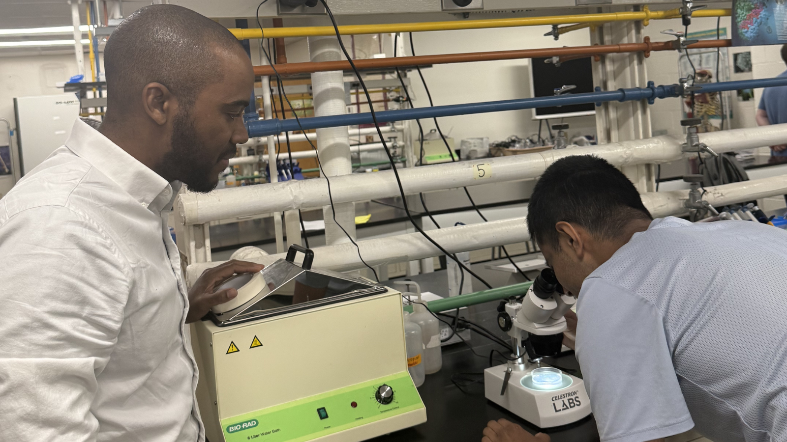 A professor on the left and a student on the right standing in a lab, looking through a microscope.