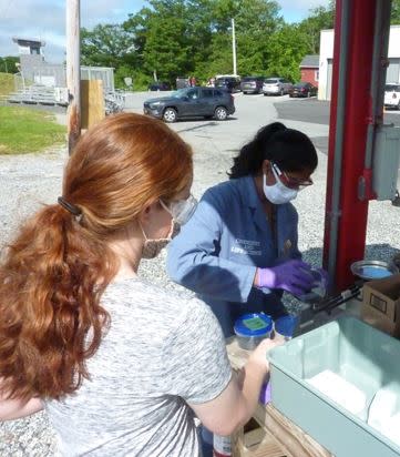 Two people preparing gunpowder samples