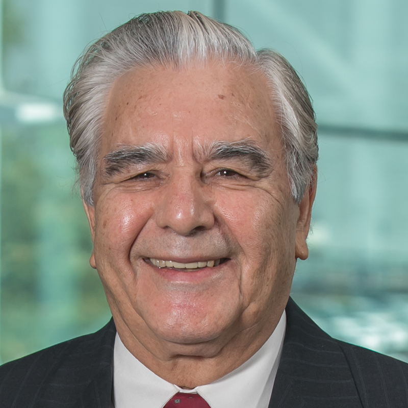 Image of Mahmoud Daneshmand