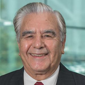 Image of Mahmoud Daneshmand
