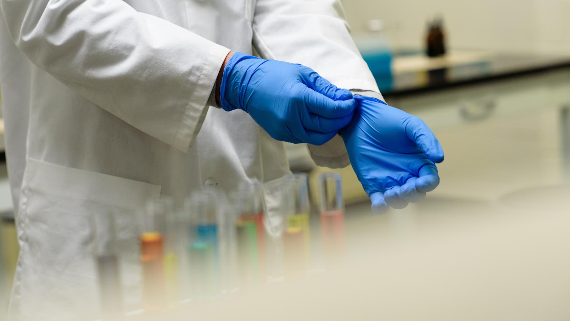 A pair of hands putting on protective gloves in a lab.