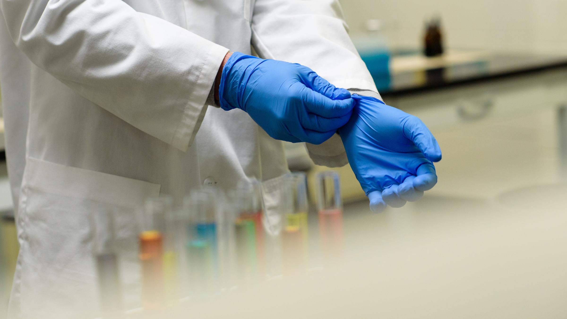 A pair of hands putting on protective gloves in a lab.