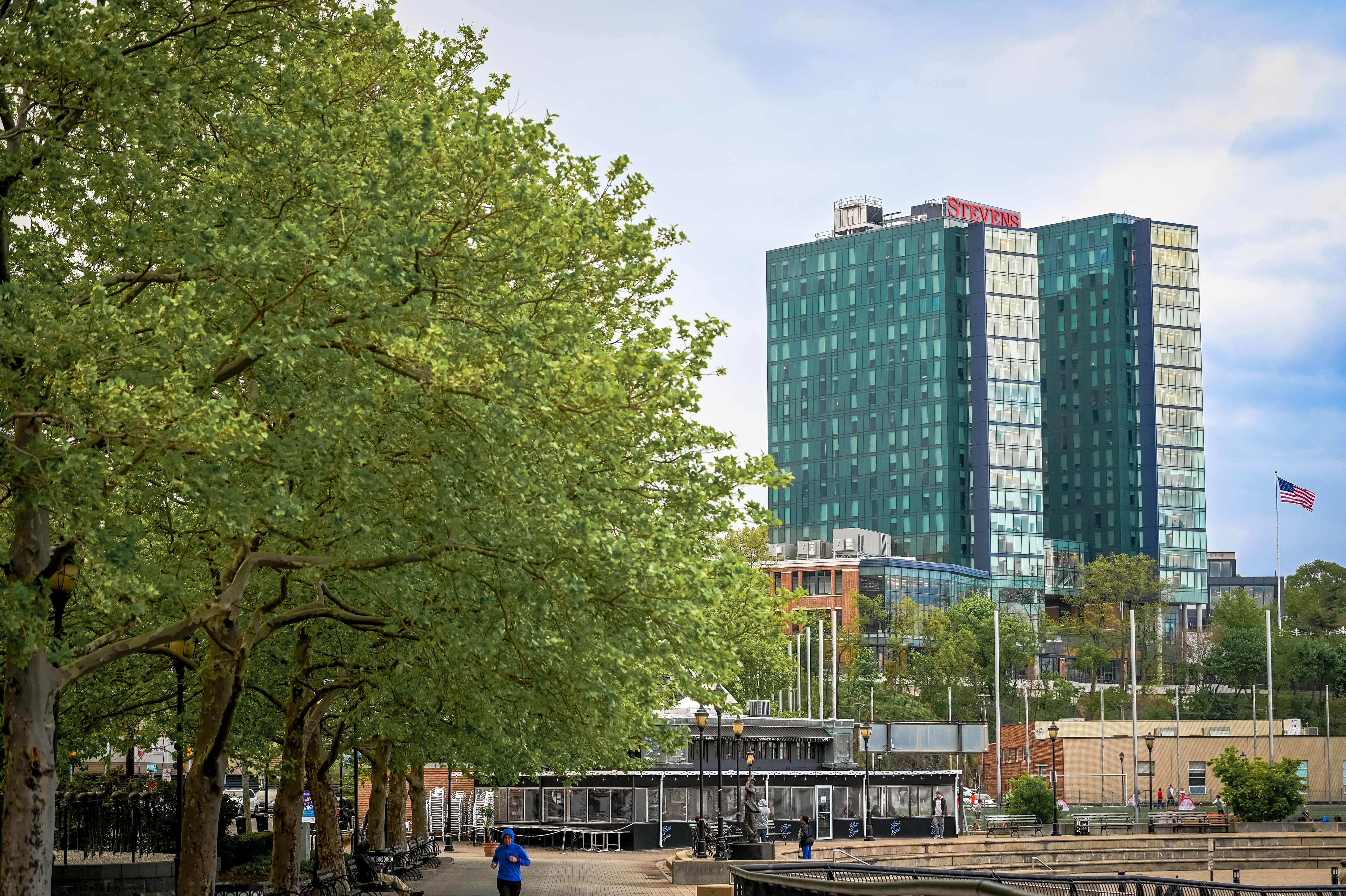 Best of Stevens - Trees, jogger and logo