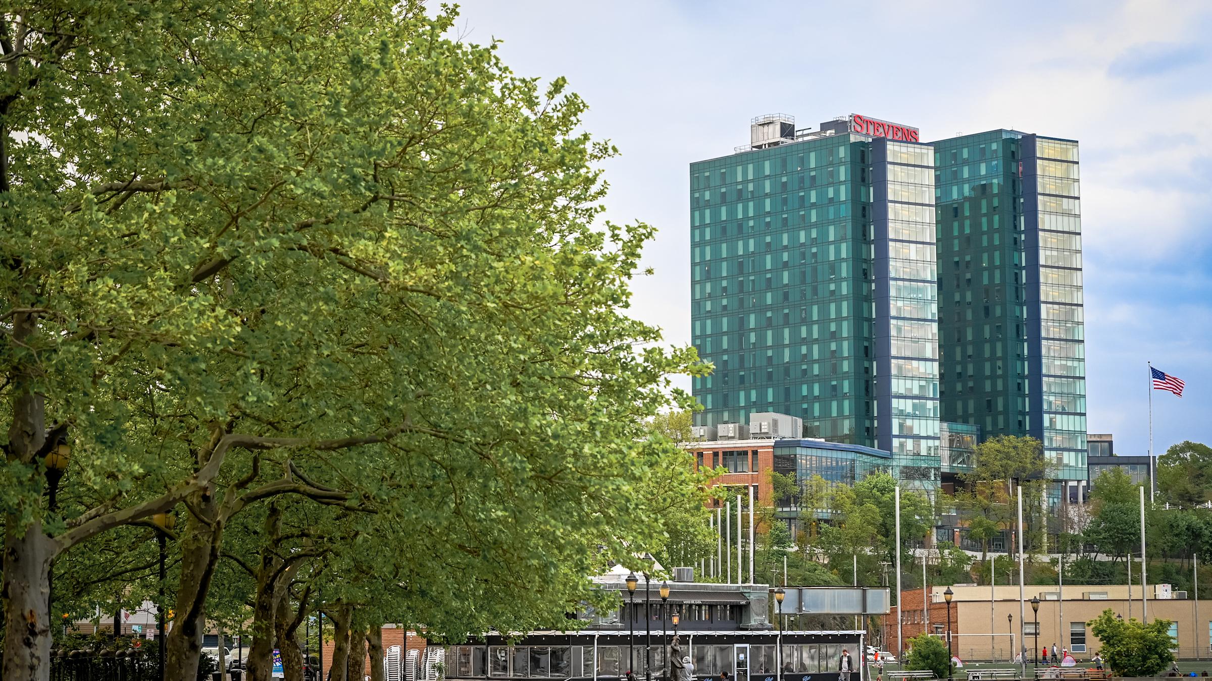 Best of Stevens - Trees, jogger and logo