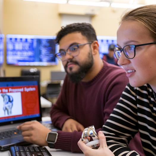 2 Computer Science students working on computers