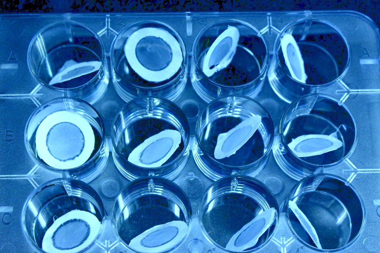 lab experimental containers